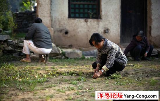 男子探险终南山：偶遇匪夷所思的场面(21)