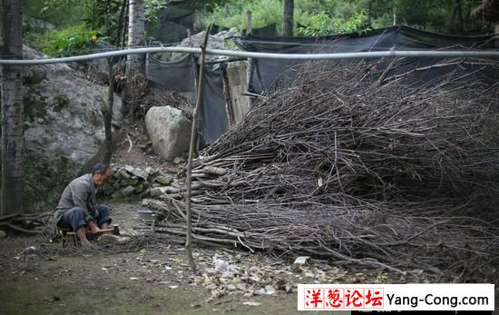 男子探险终南山：偶遇匪夷所思的场面(26)