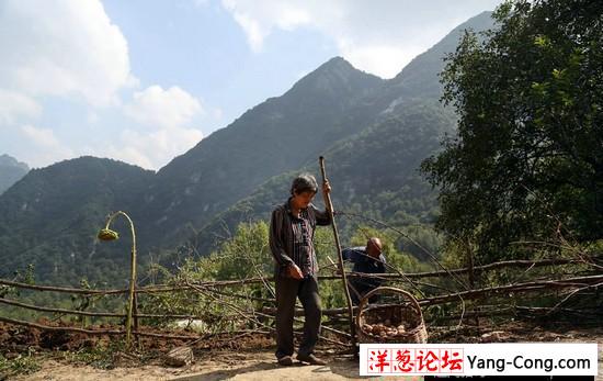 男子探险终南山：偶遇匪夷所思的场面(48)