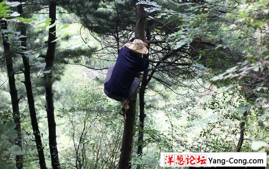 男子探险终南山：偶遇匪夷所思的场面(39)