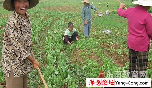 城里媳妇谈乡下过年:永远都是女人干活 男尊女卑(7)