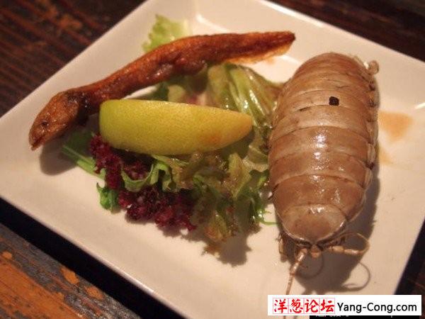 日本一餐厅专用生猛食材 鳄鱼爪上餐桌(2)