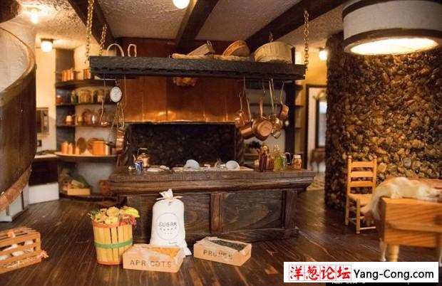 土豪13年花5千万打造奢华玩具屋 内置上万家具模型(3)