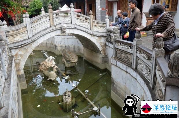 昆明景区池塘遭游客扔钱许愿 钱币漂浮水面(1)