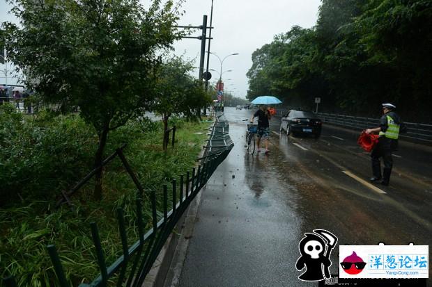 杭州钱塘大潮掀翻堤坝 冲破护栏(7)