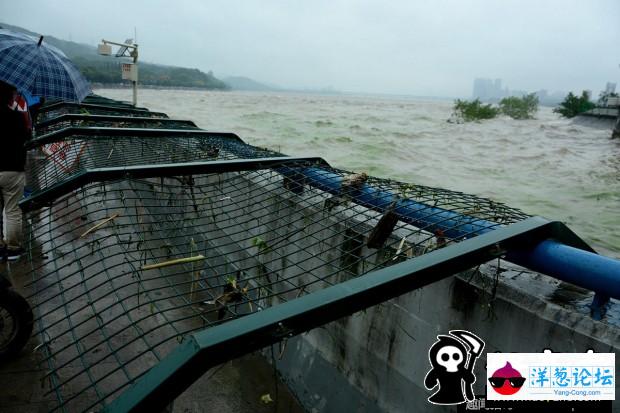 杭州钱塘大潮掀翻堤坝 冲破护栏(6)