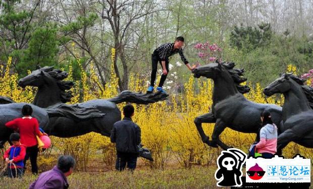 中国人的素质真有这么差？旅游中的不文明现象你见过几个(3)