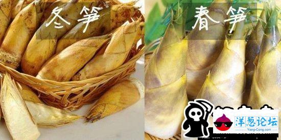 让你傻傻分不清  来盘点那些极为相似的食物(4)