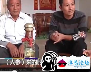 酒里封存三十年 人参“成了精”？ 自己长出叶还开了花(4)