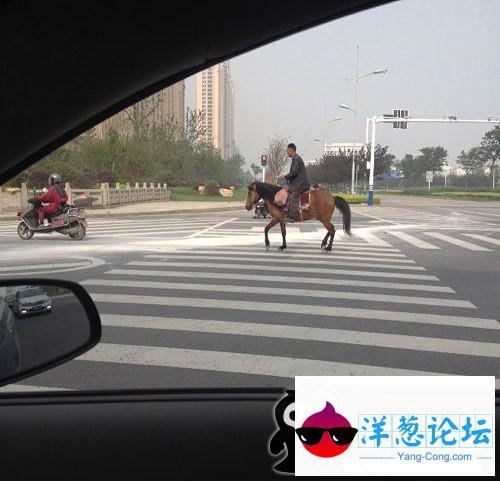 高端，大气，上档次！还环保