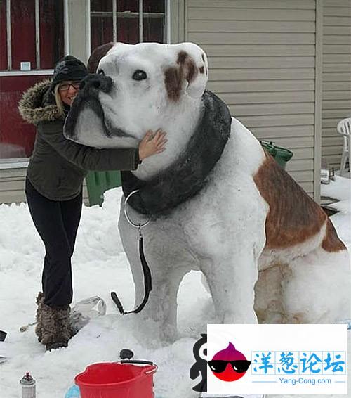 这雪狗，已经逼真到以假乱真的程度了