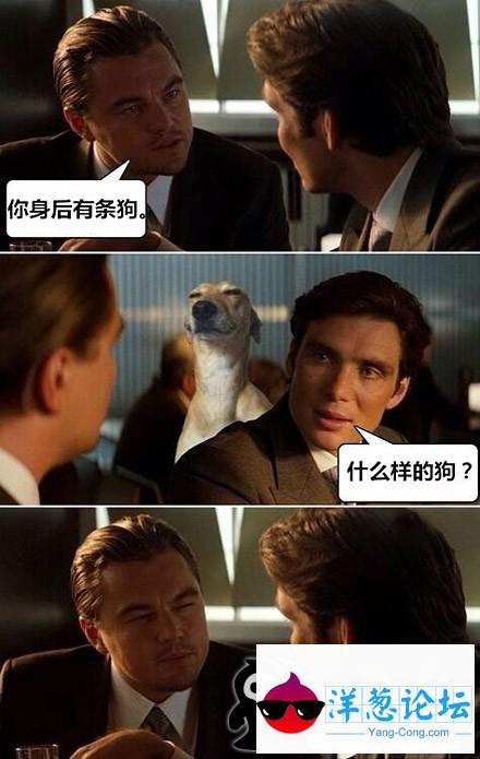 亲，你身后一一条狗！哈哈