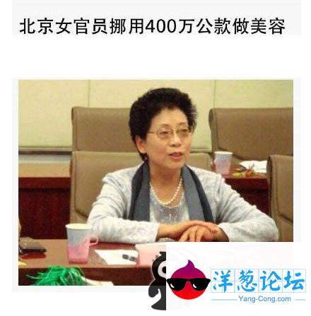 太没职业道德了，400万花完，才整成这样？