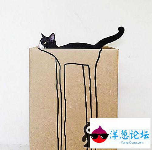 漫画出高个子猫咪