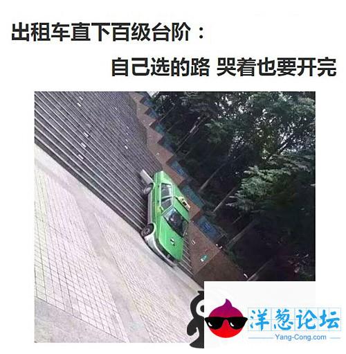 走自己的路，让台阶受着吧！