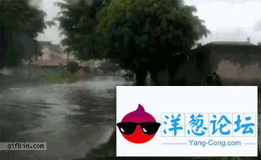 暴雨来袭，马路上都是坑啊