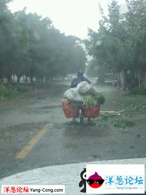 我在风雨中，不是一棵葱，是最可爱的人！