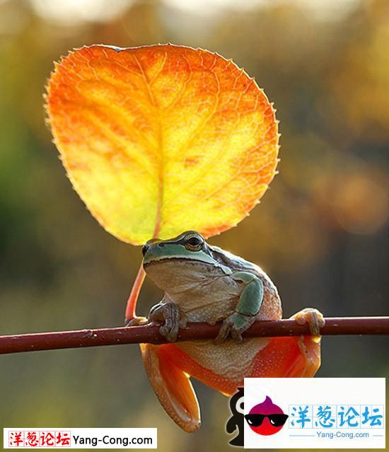 能遮风挡雨的好地方