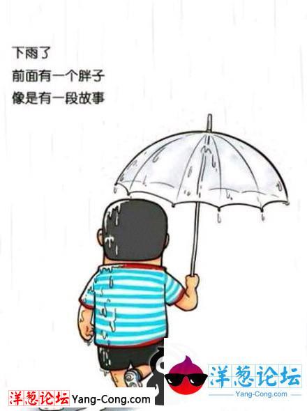 雨中胖子的漫画故事