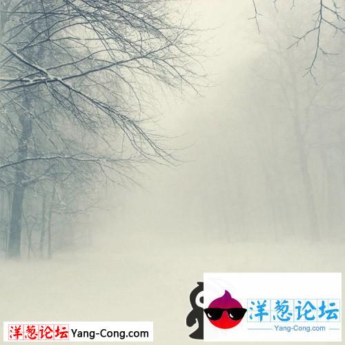 白茫茫的大地。漫天遍野的雪花。