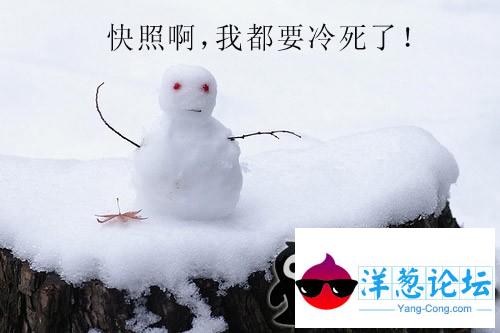 雪白的孩子....