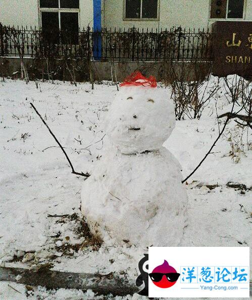 二货的雕刻师。做出来的屌丝雪人