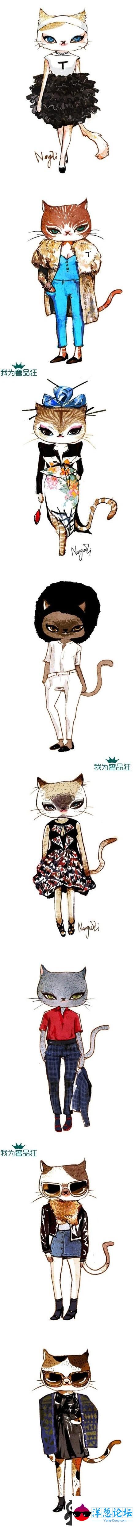 猫——媚物的代表猫。喜欢猫猫的童鞋转走吧