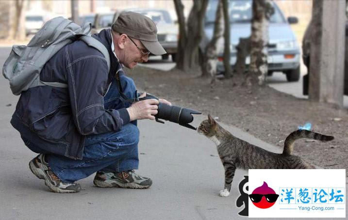 好奇害死猫