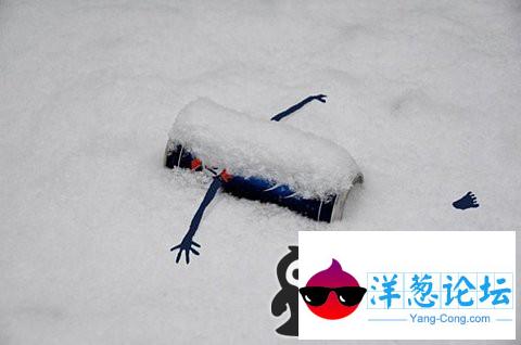 牺牲在雪地里的易拉罐