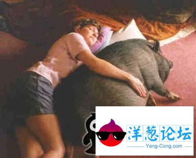 猪头，我与你相依相偎 女生版