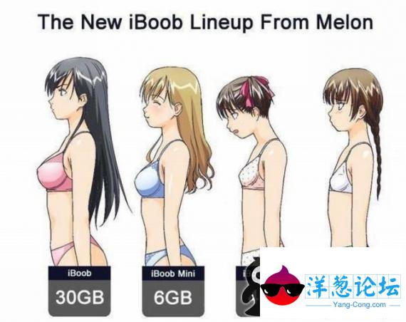 新iboob阵容