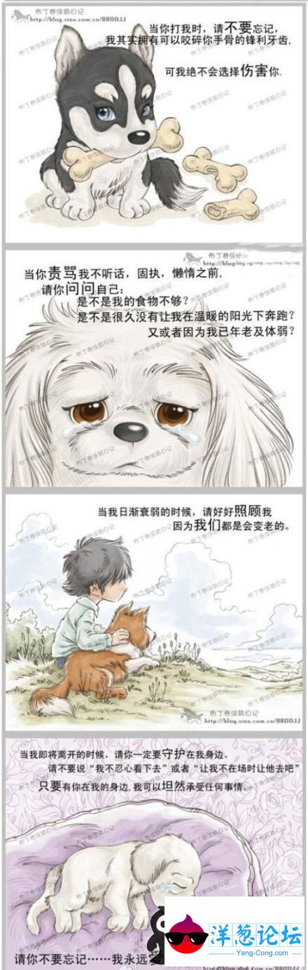 漫画图片,狗狗的一生很感人,很感动。