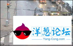 奔跑哥 跟随其后