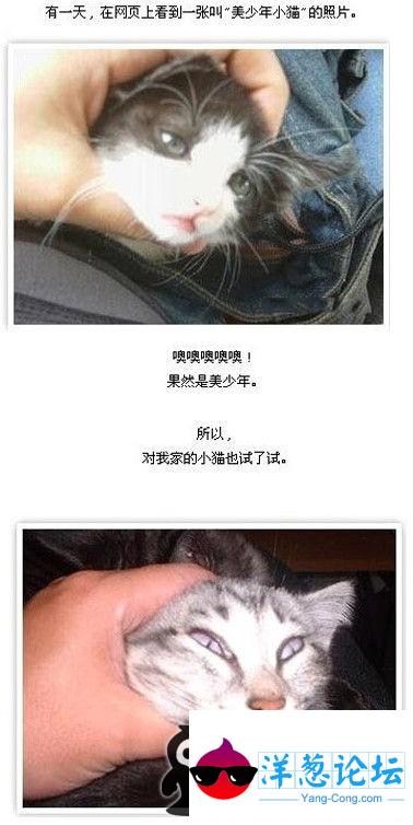 美少年小猫