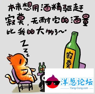 本来想用酒精驱赶寂寞,无奈他的酒量比我的大多了~