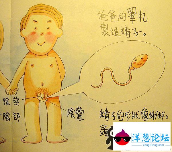 超雷人的幼儿园性启蒙图册