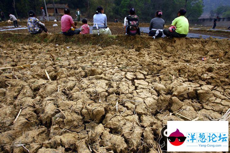 壮族村民坐在干裂的田地边