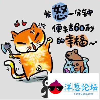 流浪猫的人生感悟