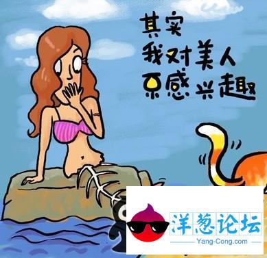 流浪猫的人生感悟