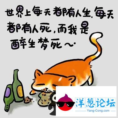 流浪猫的幽默日记