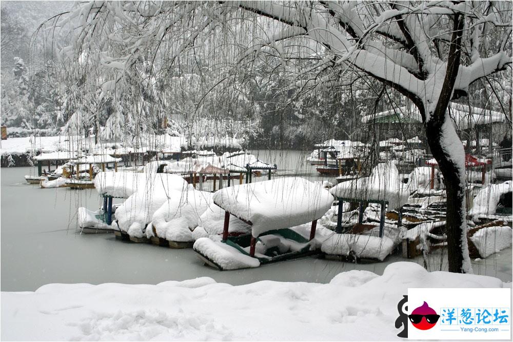 雪灾图片