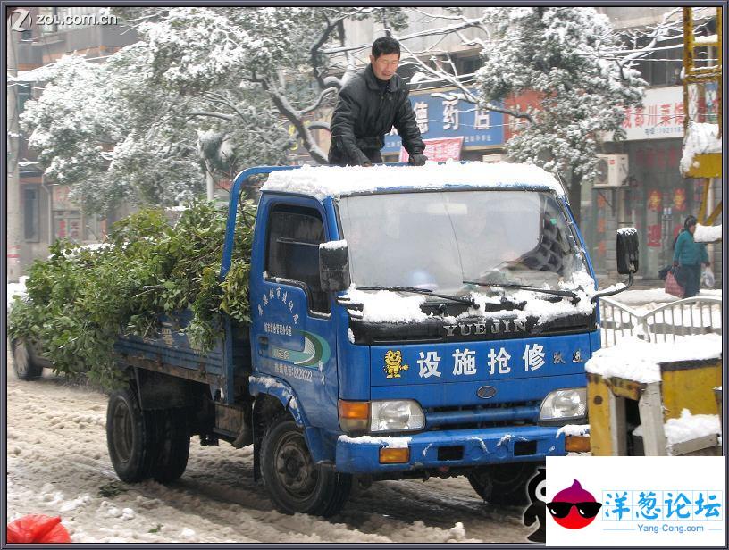 震撼世界的雪灾（组图）