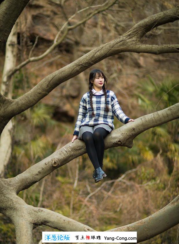 小清新美女森林阳光唯美写真